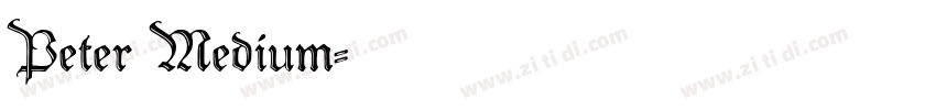 Peter Medium字体转换 Peter Medium字体转换